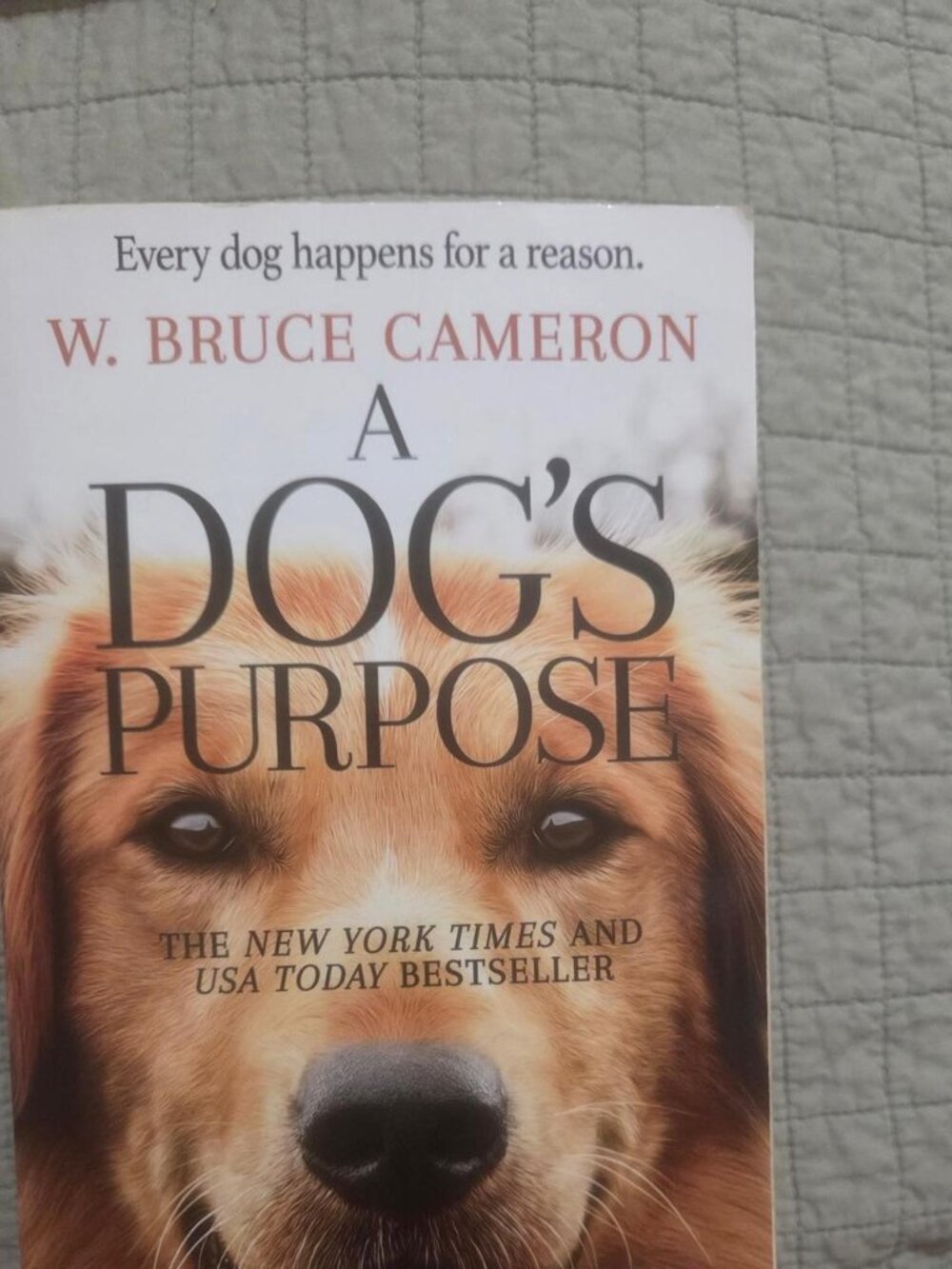 A Dog's Purpose by W. Bruce Cameron